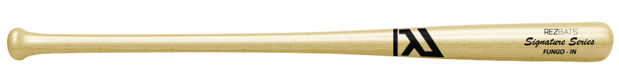 modelfungo2