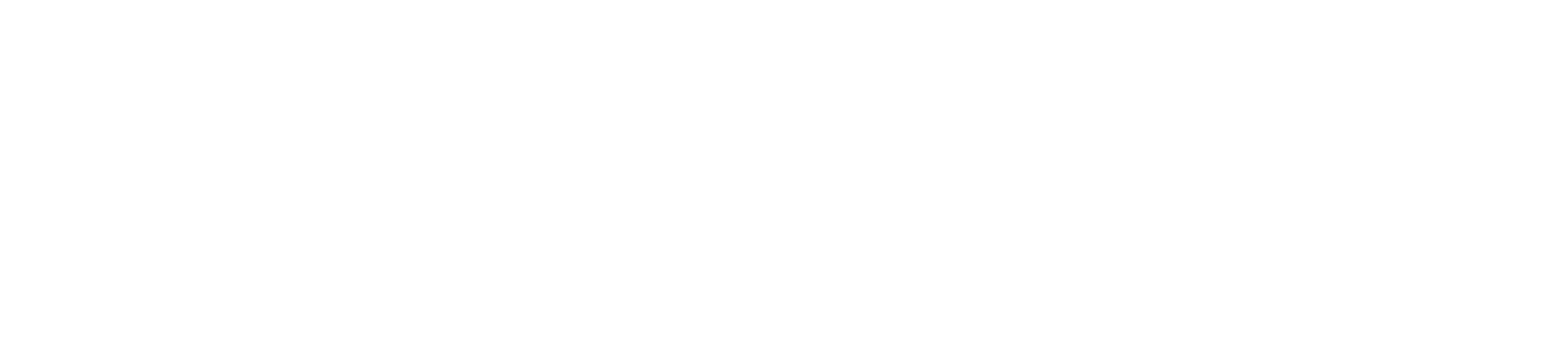 CUSTOMPROHEADER